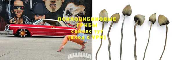 круглые Алзамай