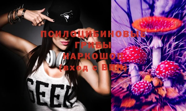 прущие грибы Алексин