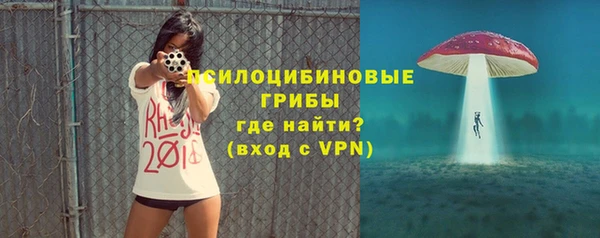 прущие грибы Алексин