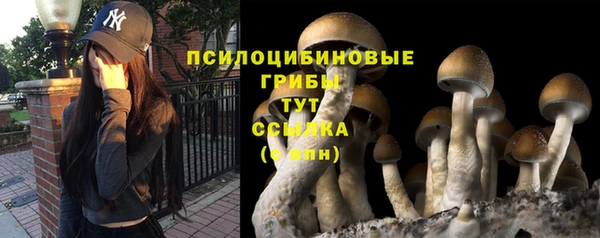 кокс Алексеевка